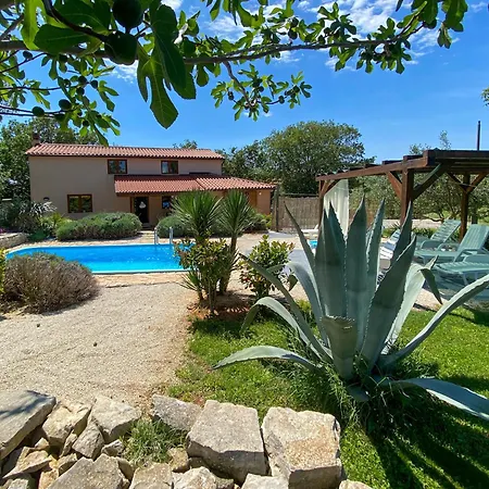 Palera Villa Liznjan