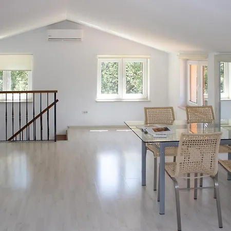 Palera Villa Ližnjan