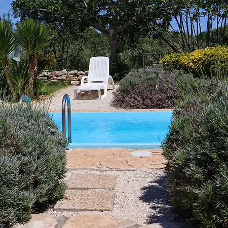 Vila Palera
